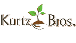 kurtz kurtz
